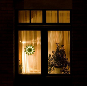 Olive Window Star